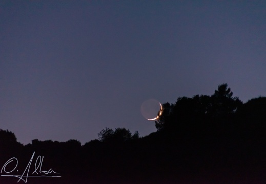 Nocturna